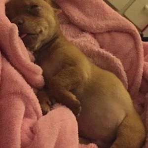 Meet your Posher, Sindy